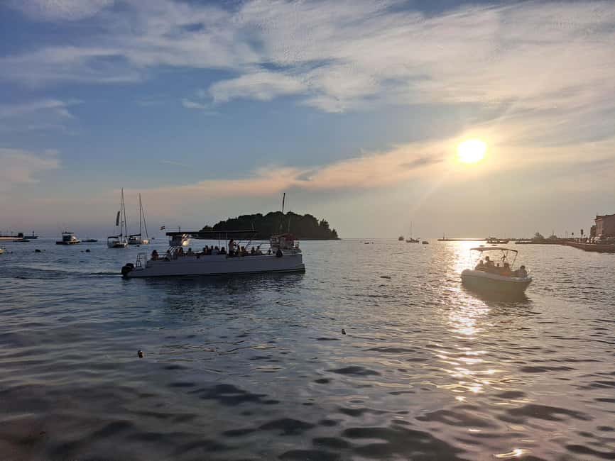 Rovinj: Sunset & dolphin group tours with Catamaran - Who should book this experience?