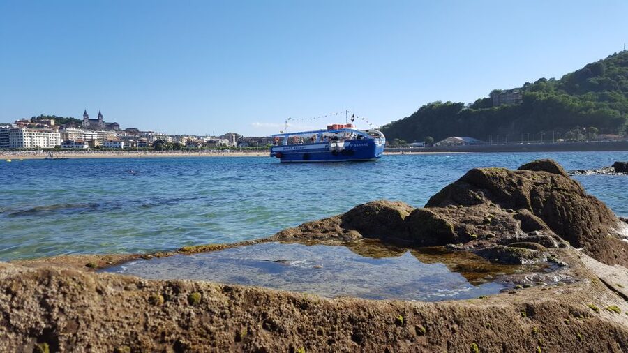 San Sebastian: Boat Tour with Stop at Santa Clara - Accessibility, dogs, and weather limits