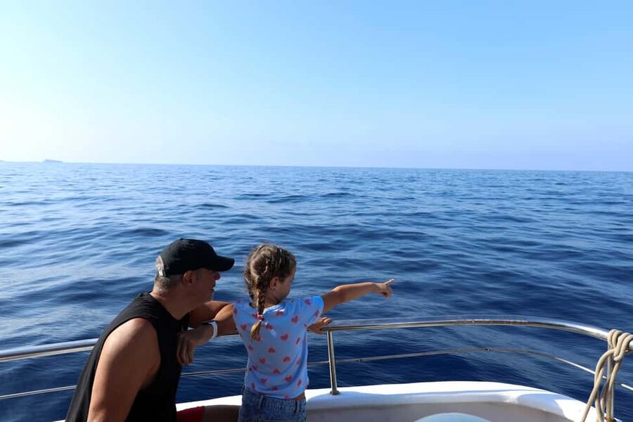 Santa Ponsa: Dolphin Watching Cruise - The return along Mallorca’s southwest coast
