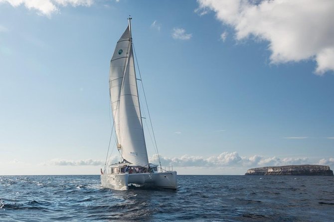 Santorini Caldera Sailing Tour with BBQ Lunch and Drinks - Palea Kameni and Nea Kameni in the caldera