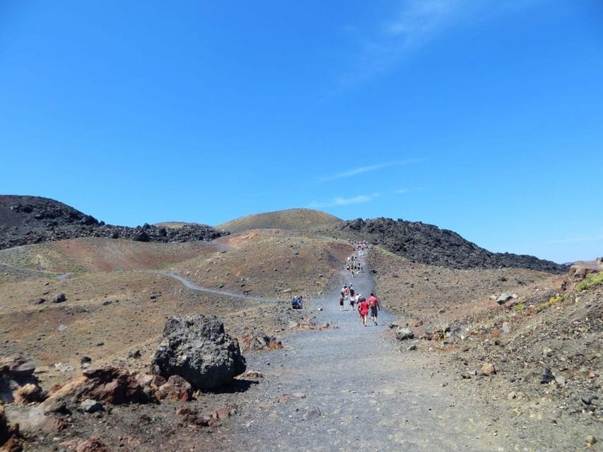 Santorini Port: Cruise to Volcano, Hot Springs & Thirassia - Who should book this cruise