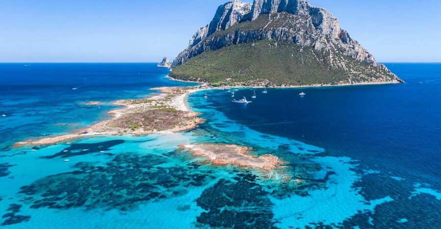 Sardegna: Tavolara Boat Tour with Snorkeling - Key points to know before booking