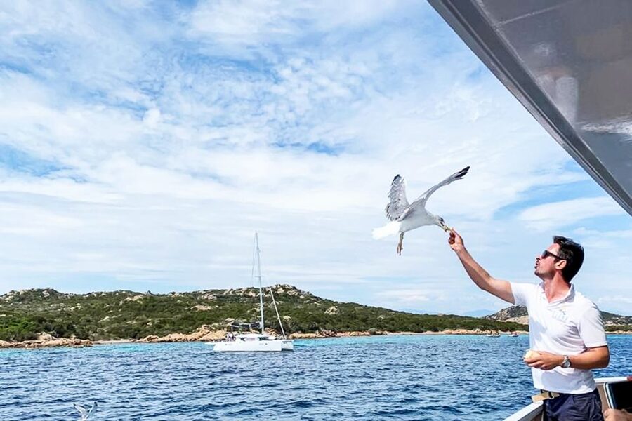 Sardinia: La Maddalena Archipelago Full-Day Trip by Boat - The boat, crew, and onboard service