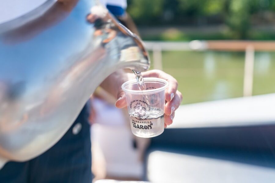 Seville: Guadalquivir Boat Tour with Optional Lunch/Dinner - Who should choose this cruise?