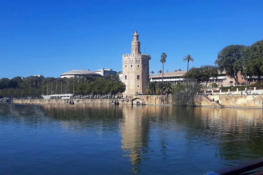 Seville: Guadalquivir Boat Tour with Optional Lunch/Dinner - What the 1.5-hour cruise includes