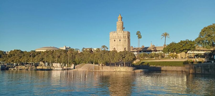 Seville: Guadalquivir Boat Tour with Optional Lunch/Dinner - Service and group atmosphere