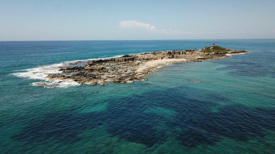 Side: Dolphin Island Boat Tour w/ Lunch & Foam Party - Key points to know before booking