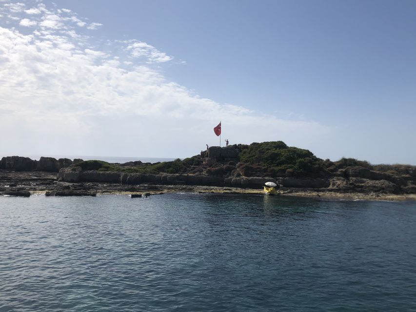 Side: Dolphin Island Boat Tour w/ Lunch & Foam Party - Who should book this Side boat tour?