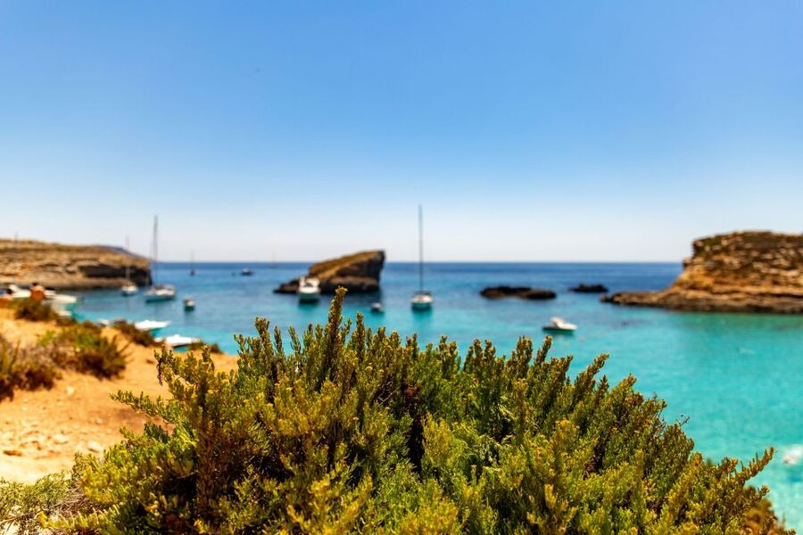 St Paul's Bay: Comino, Blue Lagoon, Gozo, & Caves Boat Tour - Is $29 good value?