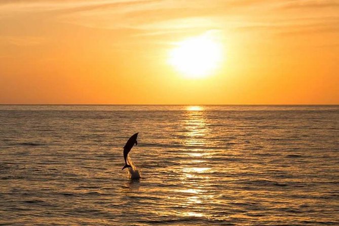 Sunset Beach Hopping Cruise, Cala Comte and Cala Bassa, SUP and snorkelling - The swimming stop with slides and paddleboards