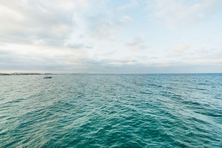 Valencia: Sunset or Daytime Catamaran Cruise with Drink - How Much Value Do You Get for $18?