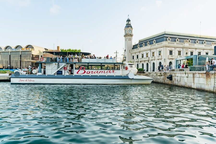 Valencia: Sunset or Daytime Catamaran Cruise with Drink - Who Will Enjoy This Valencia Cruise