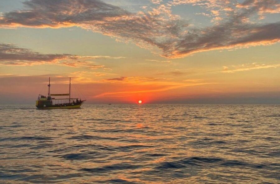 Vrsar: Dolphin Watching Boat Tour including Drinks - Finding dolphins without chasing them