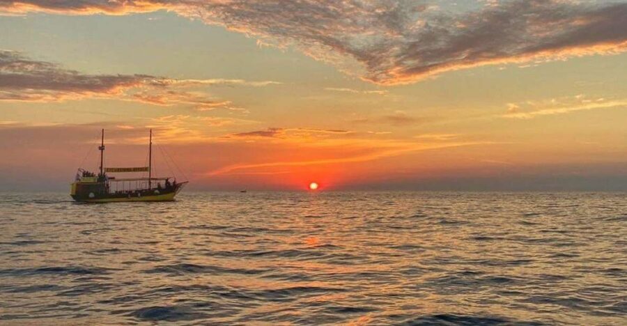 Vrsar: Dolphin Watching Boat Tour including Drinks - Who will enjoy this Vrsar boat trip most