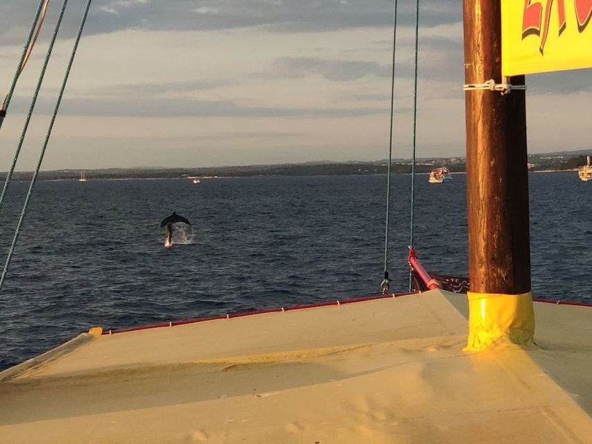 Vrsar: Dolphin Watching Boat Tour including Drinks - Sunset, wildlife, and responsible expectations