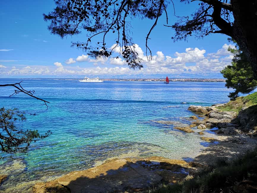 Zadar: 3 Islands Speedboat Tour with Drinks and Diving - Who will get the most from this tour