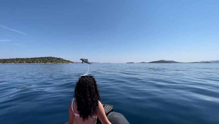 Zadar: Island Luxury Speedboat Tour with Snorkeling - The surprise third island: the best stop for water time