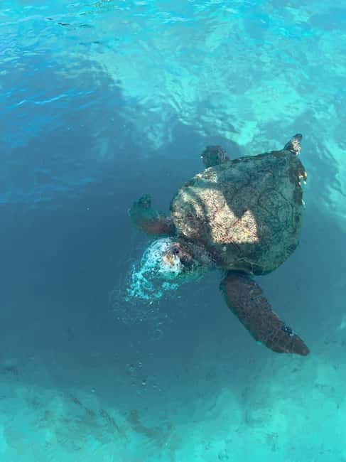 Zakynthos: Turtles, Marathonisi & Keri Caves Speedboat Tour - Getting from your hotel to Agios Sostis
